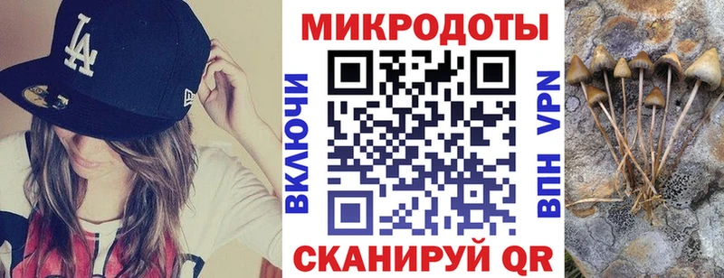 цены наркотик  Ирбит  Галлюциногенные грибы Psilocybine cubensis 